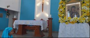 Paróquia N. Sra. do Perpétuo Socorro