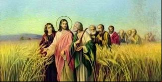 16° DOMINGO DO TEMPO COMUM (21/07/2023 00:00:00)