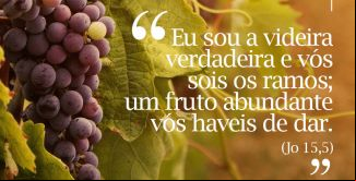 imagem da noticia PERMANECER EM CRISTO PARA DAR FRUTO