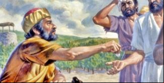 imagem da noticia 25º Domingo do Tempo Comum – Ano A
