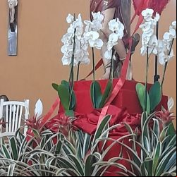 : Novena e Festa de São Sebastião 2023 (10).jpeg