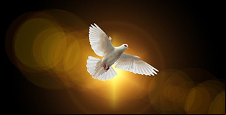 Solenidade de Pentecostes (26/05/2023 00:00:00)