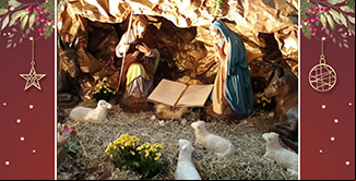 imagem da noticia Natal na ProvÃ­ncia RJ-MG-ES